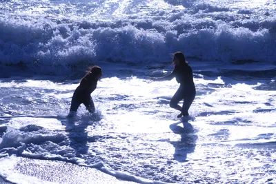 DSC_0488 (Large).JPG